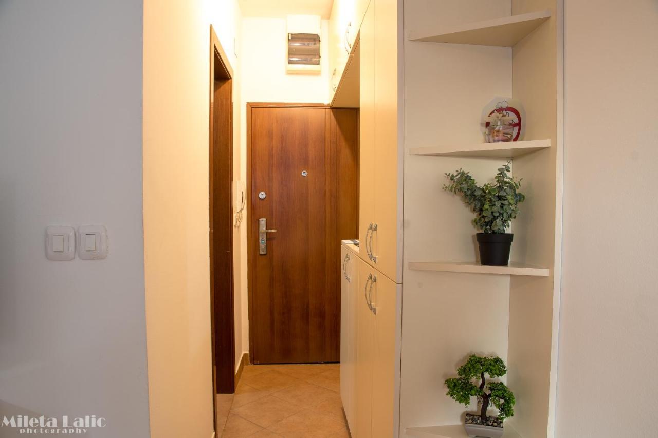 Sunny 412 Apartment بودغوريتْسا المظهر الخارجي الصورة